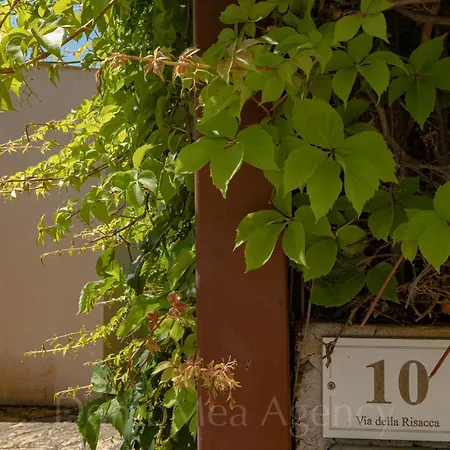 Vanda Ad Un Passa Dal Mare Casa de Férias *