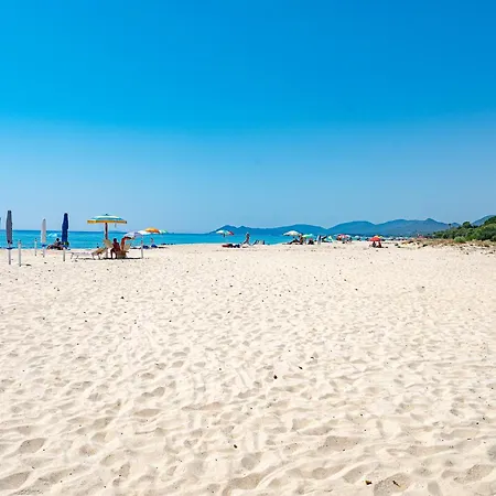 Vanda Ad Un Passa Dal Mare *